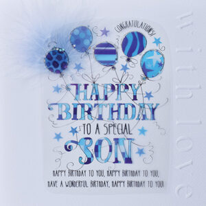 Wendy Jones-Blackett Son Birthday Card CN1701