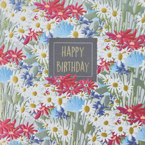 Wendy Jones-Blackett Daisies & Flowers Birthday Card F438