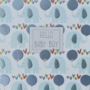 Wendy Jones-Blackett Baby Boy Card F450