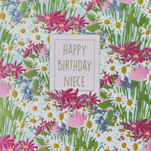 Wendy Jones-Blackett Niece Birthday Card F469