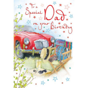 Dad Birthday Card 80273