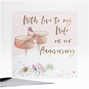 Belly Button Wife Anniversary Card ELE191