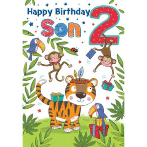 Son 2nd Birthday Card 80103