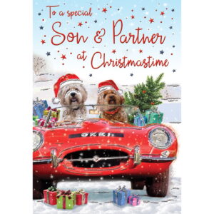 Son & Partner Christmas Card - 85182