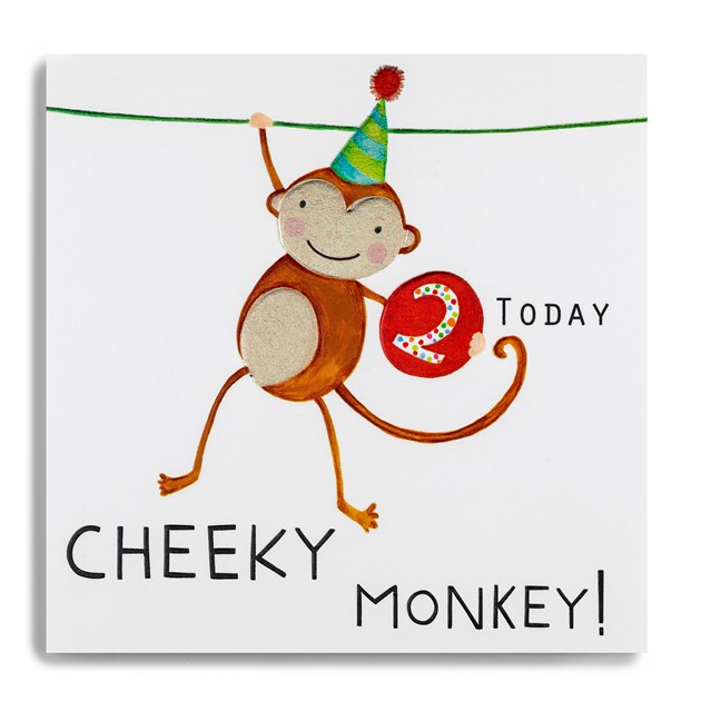 Janie Wilson 2nd Birthday Card MS03