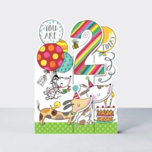 Rachel Ellen Designs 2nd Birthday Card SNAP2