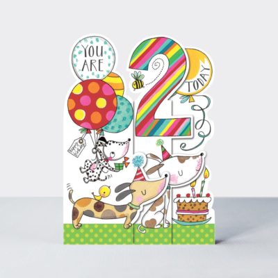 Rachel Ellen Designs 2nd Birthday Card SNAP2