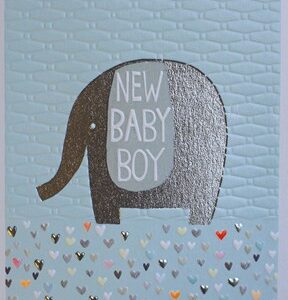 Paper Salad New Baby Boy Card JA1869