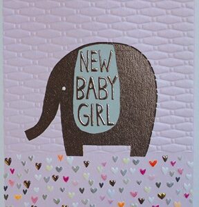 Paper Salad New Baby Girl Card JA1870