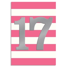 17th Birthday Card - Think of Me INK108
