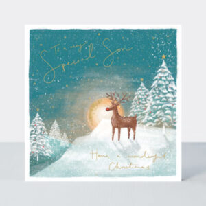 Rachel Ellen Son Christmas Card - XLIGHT02