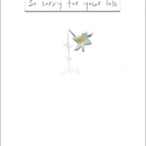 Abacus Sympathy Card - 12918