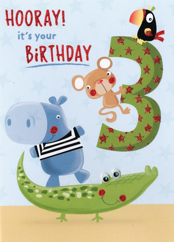 3rd Birthday Card - HBO011