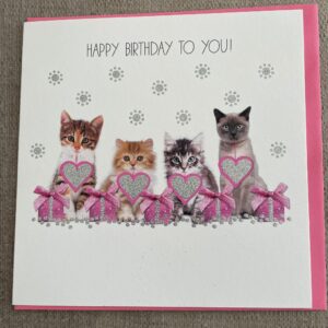 From Jude Kittens Birthday Card - L2190