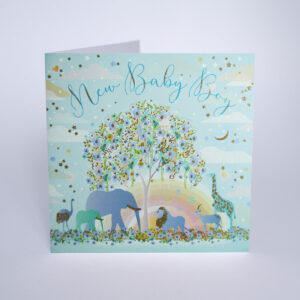 Five Dollar Shake Baby Boy Card - MO15