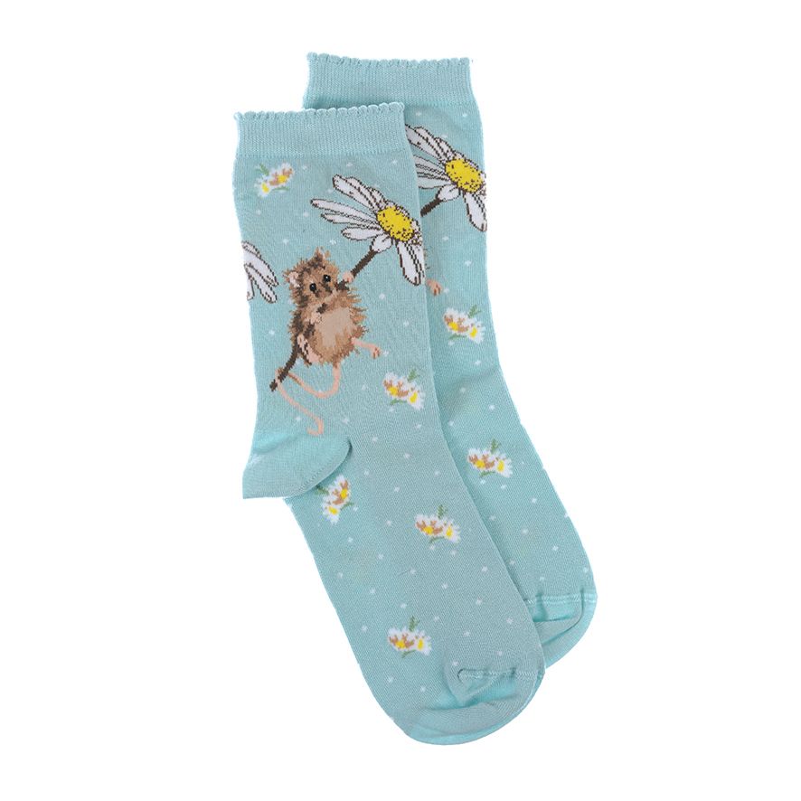 Wrendale Designs Oops a Daisy Socks - S011