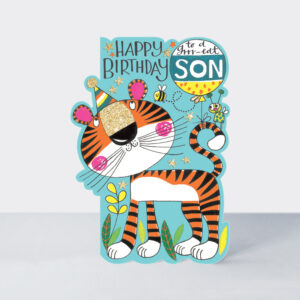 Rachel Ellen Designs Son Birthday Card - DAR28