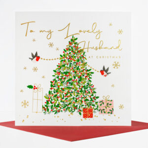Belly Button Designs Husband Christmas Card - LXX56