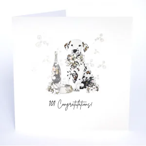 Five Dollar Shake Congratulations Card - SG8