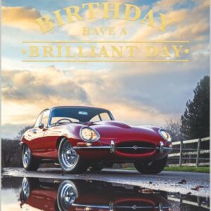 Abacus Jaguar Birthday Card - 12847