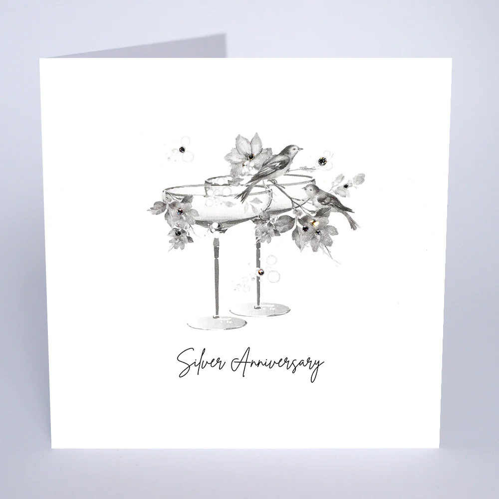 Five Dollar Shake Silver Wedding Anniversary Card - SR34
