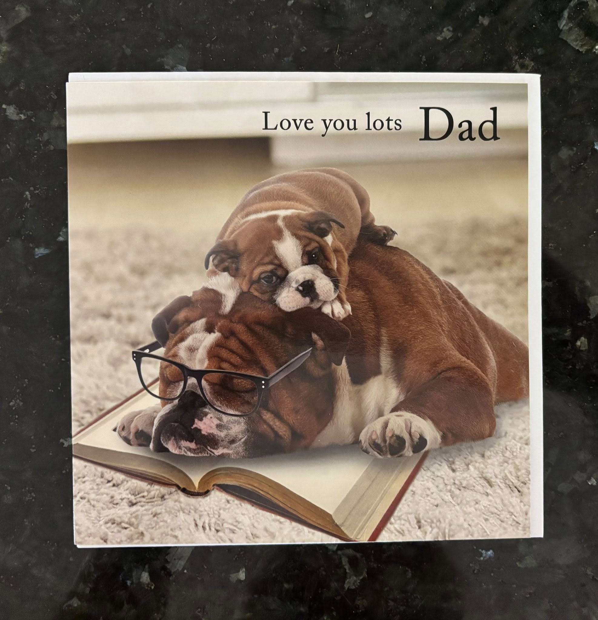 Tracks Publishing Dogs Father's Day Card - FD109