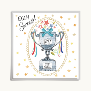 Katie Phythian Exam Success Card - VE094