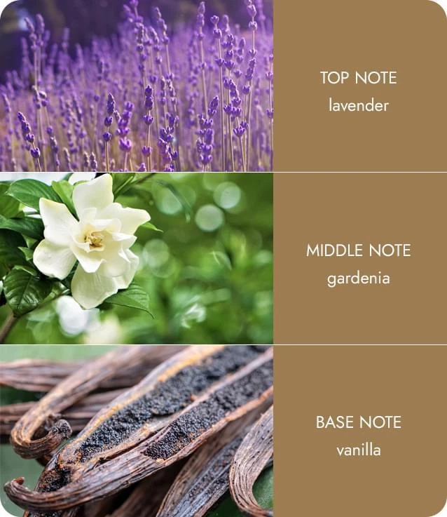 Heart & Home Fragrance Oil - Love Story - Image 2