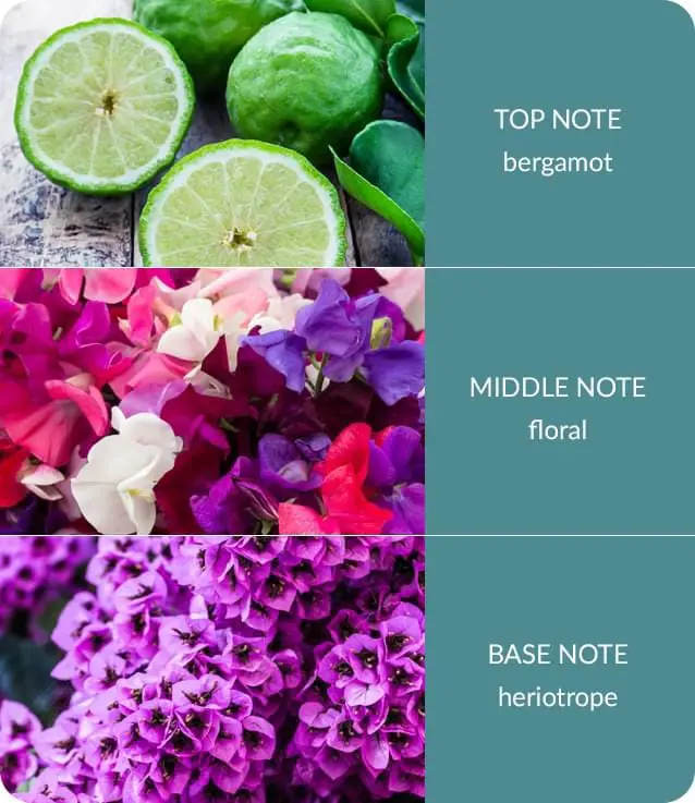 Heart & Home Fragrance Oil - Sweet Pea - Image 3